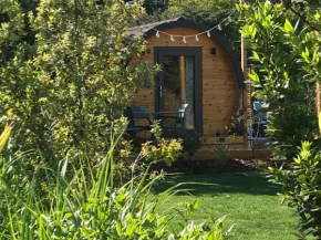 Gîte Tonneau Insolite